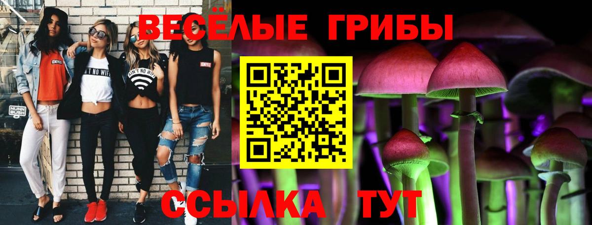 Галлюциногенные грибы MAGIC MUSHROOMS Бузулук